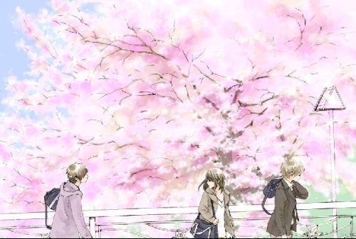 深入了解 蘑菇Tv免费高清完整版